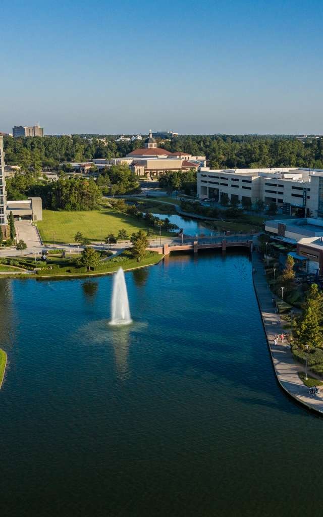 The Woodlands
