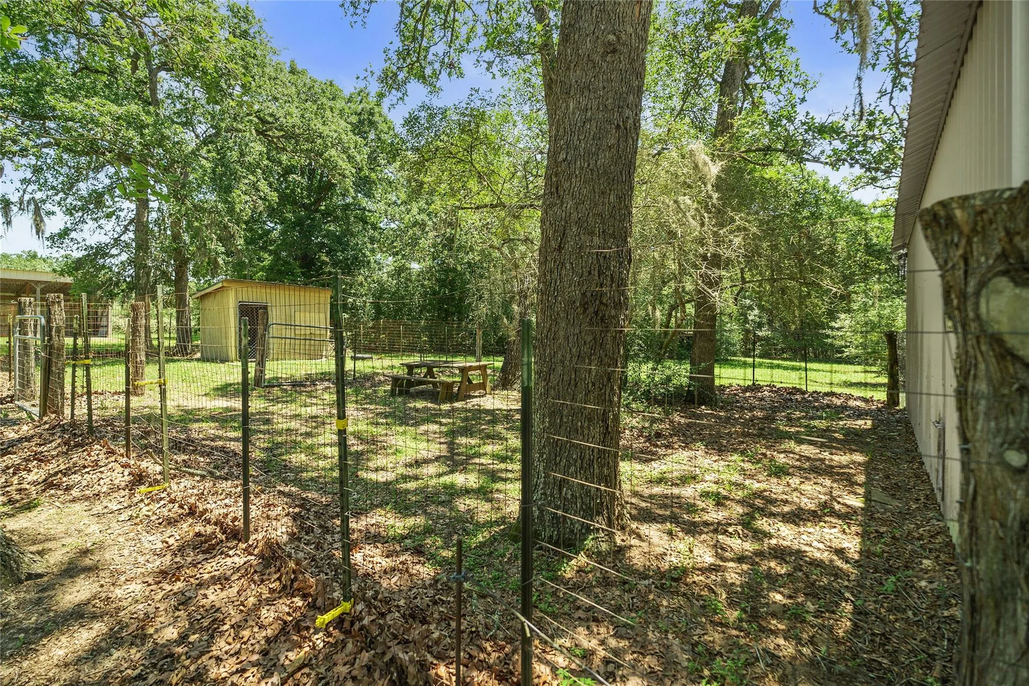 1009 Oakridge Road