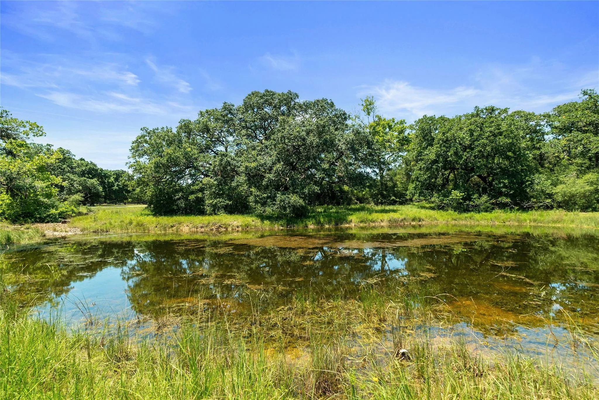 1009 Oakridge Road
