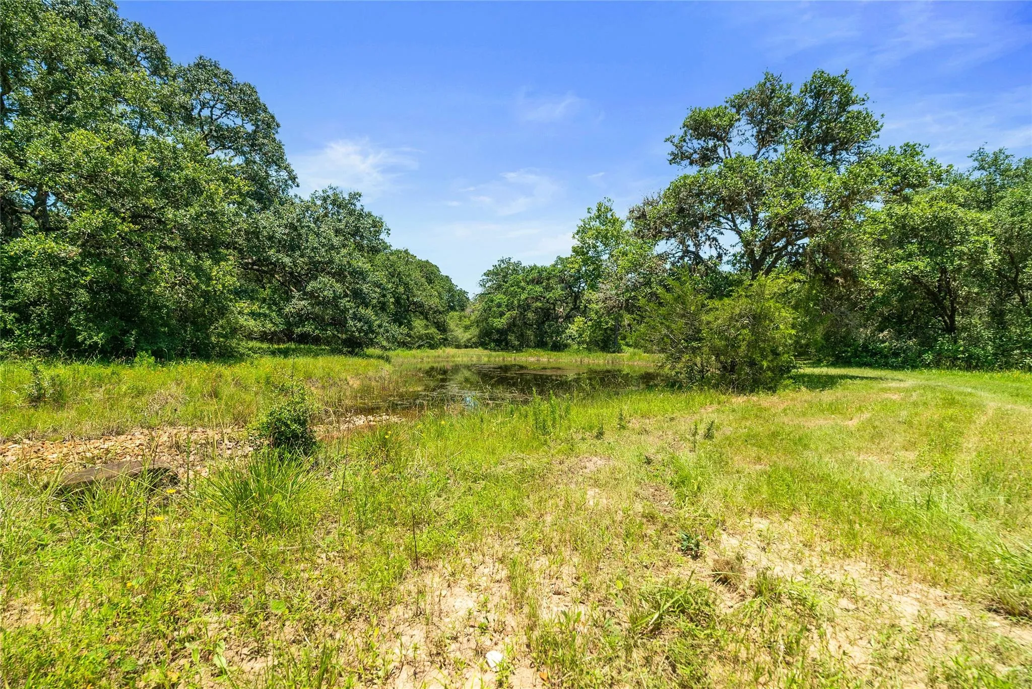 1009 Oakridge Road