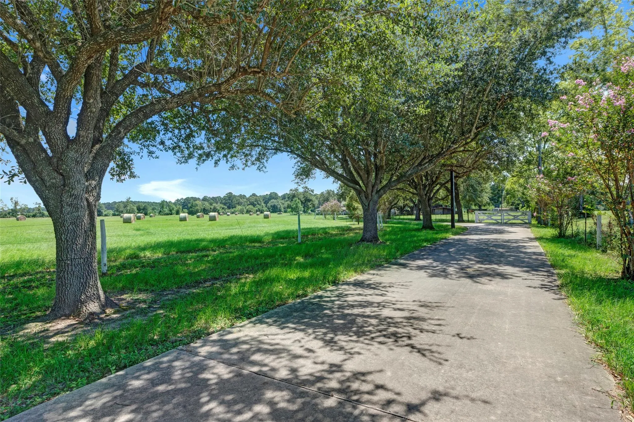 17631 Self Road