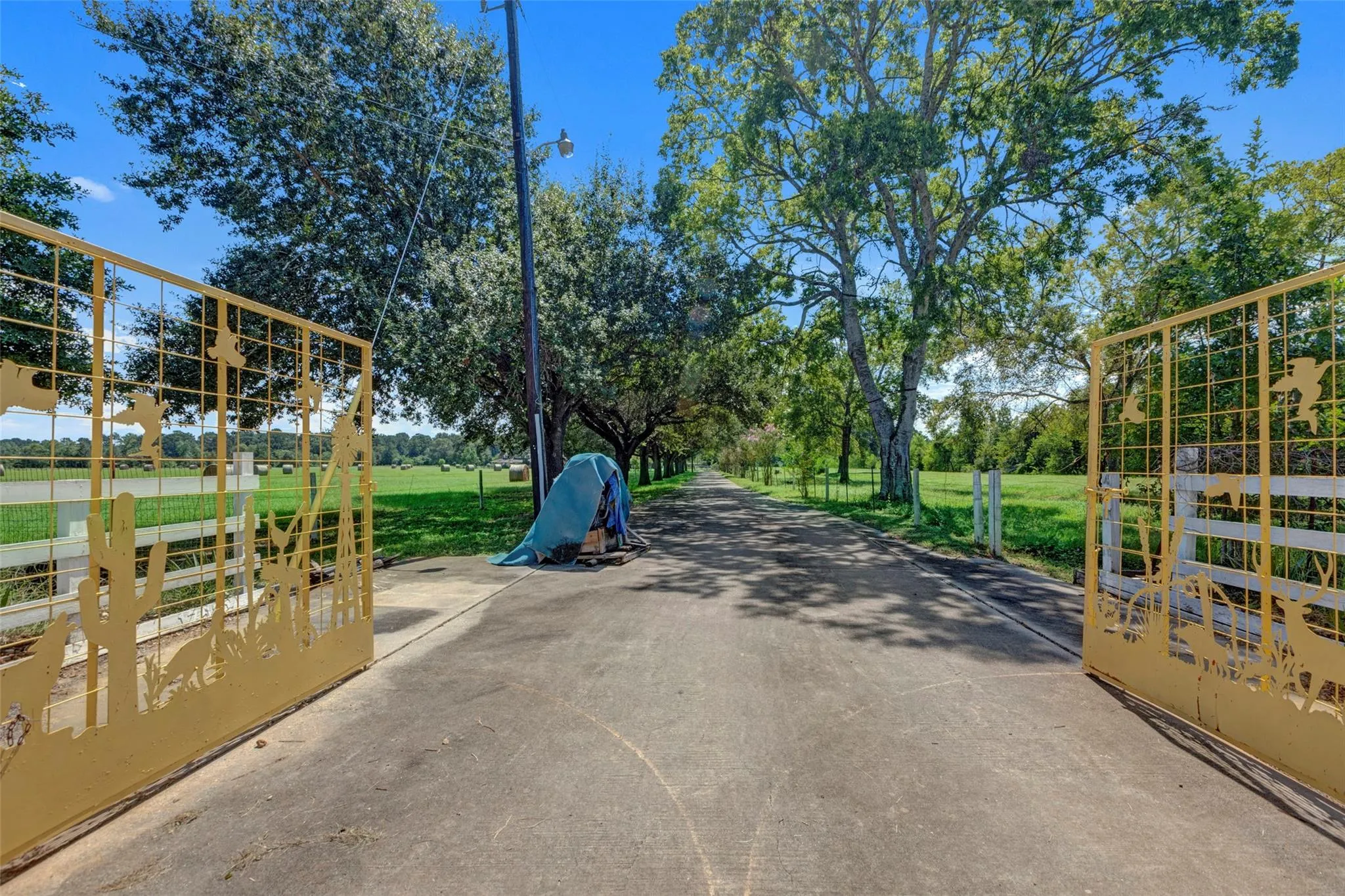 17631 Self Road
