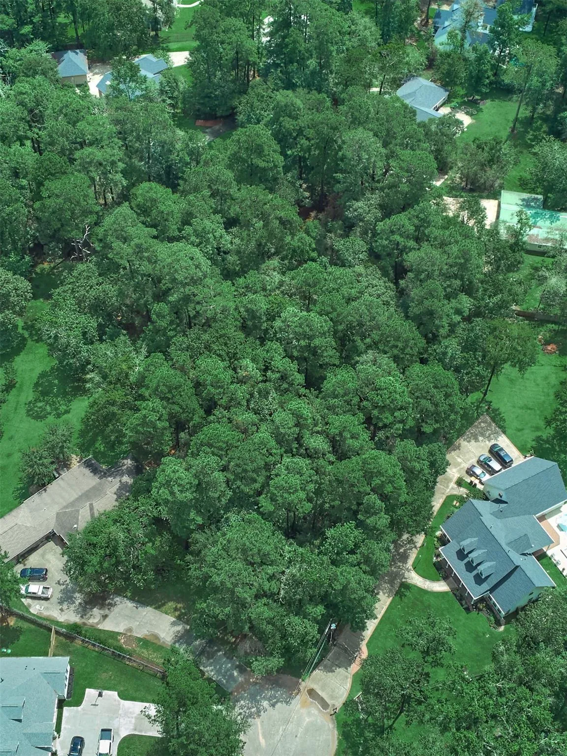 20 E Forest Court