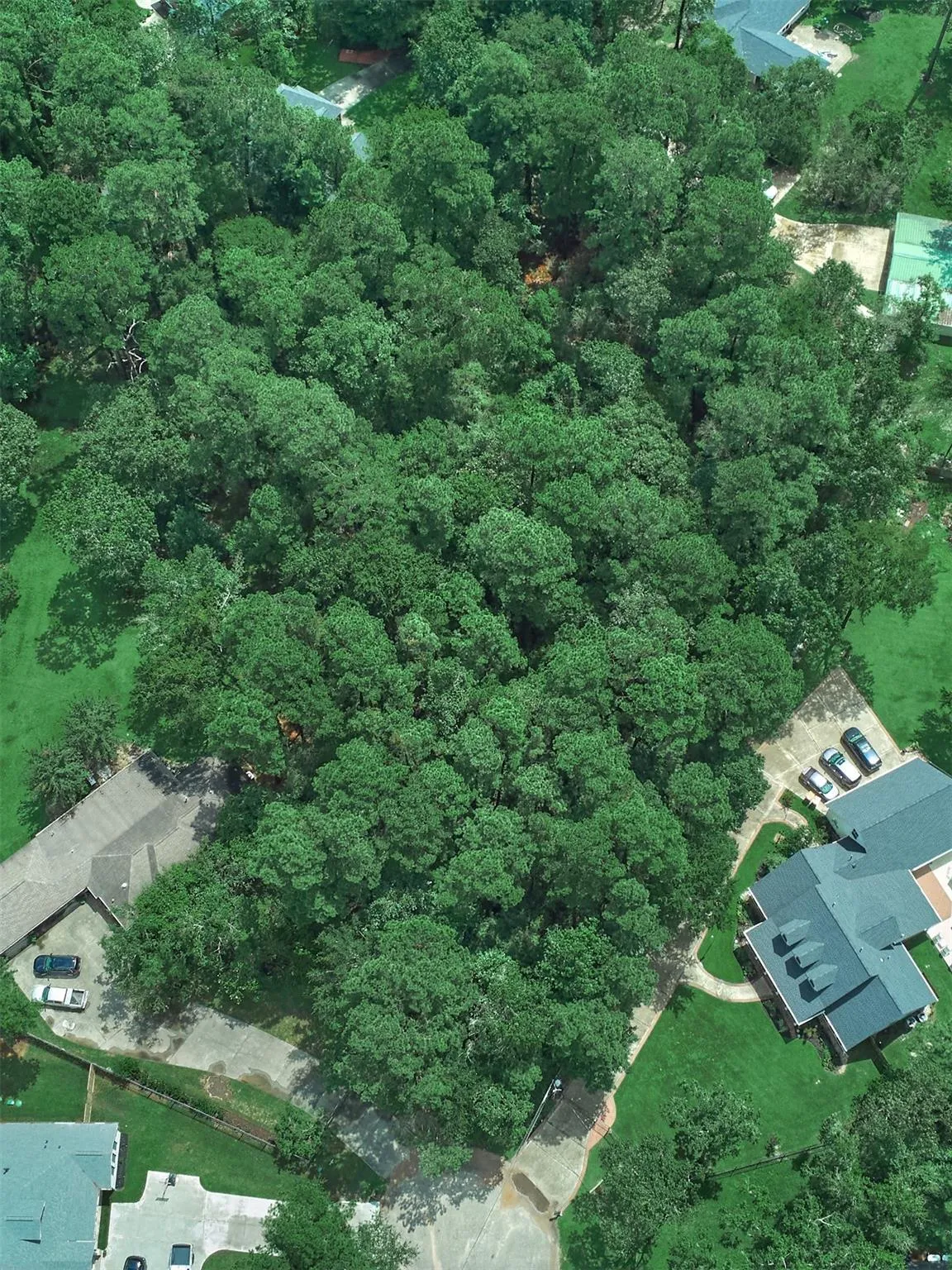 20 E Forest Court