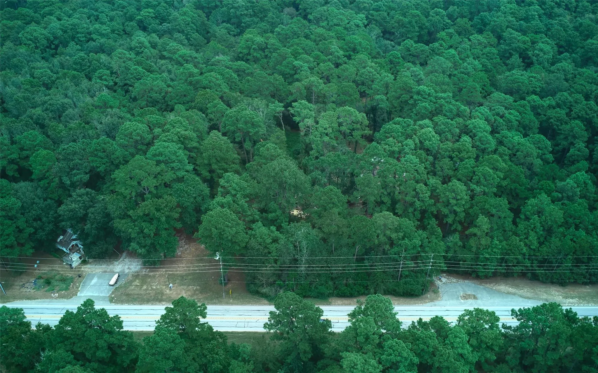 36014 Fm 149 Road
