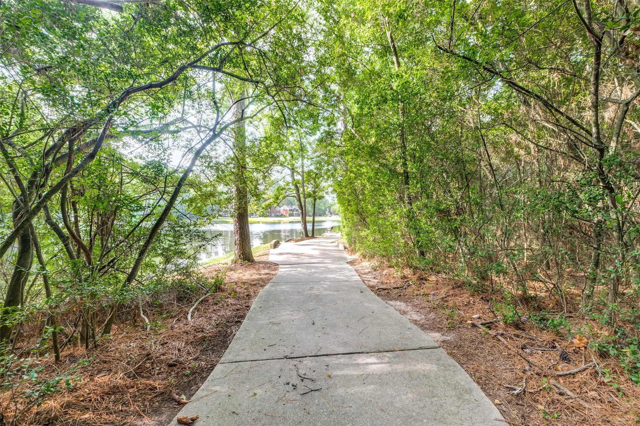 7 White Bark Place