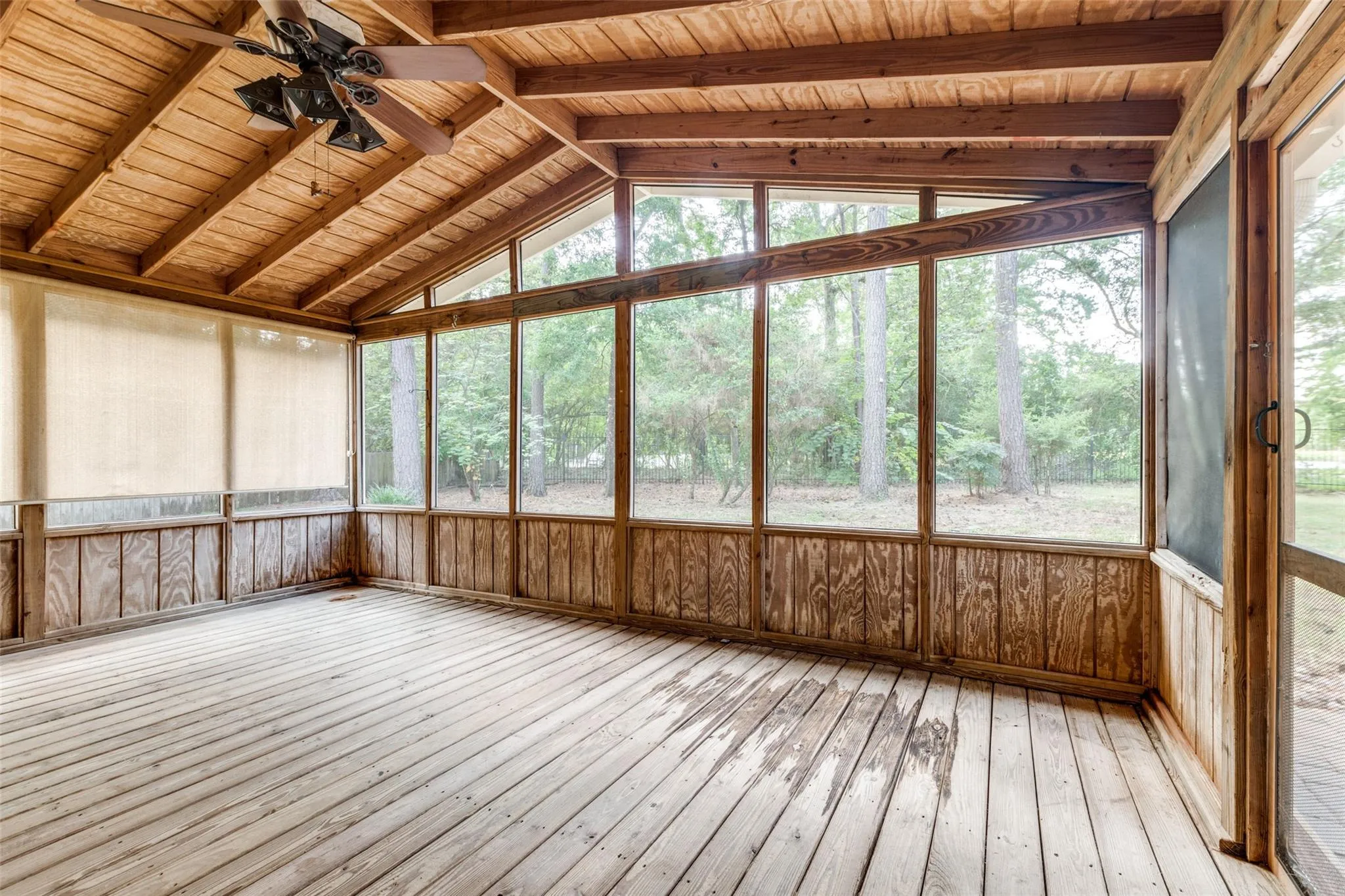 7 White Bark Place