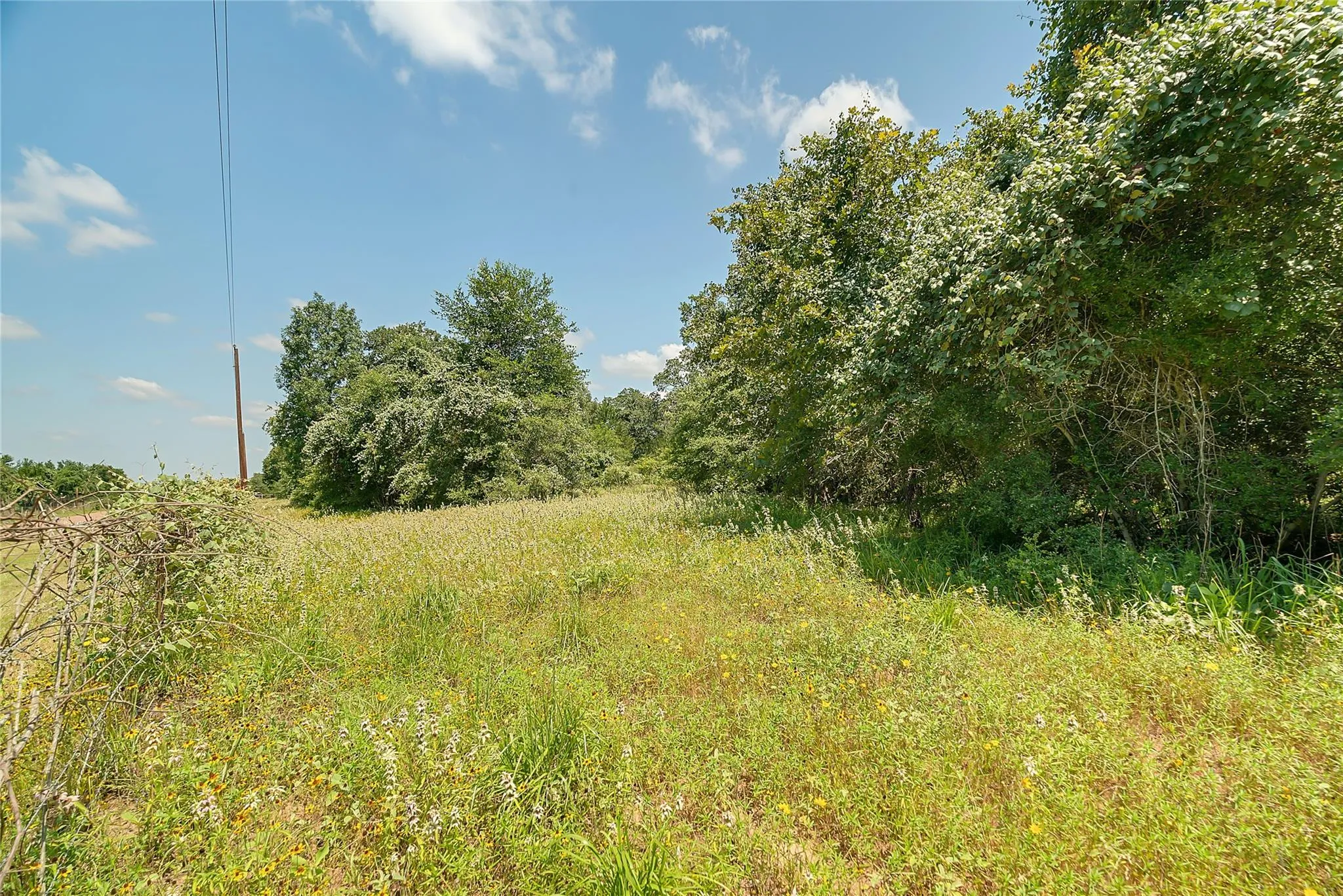 Parcel 19231 County Road 215