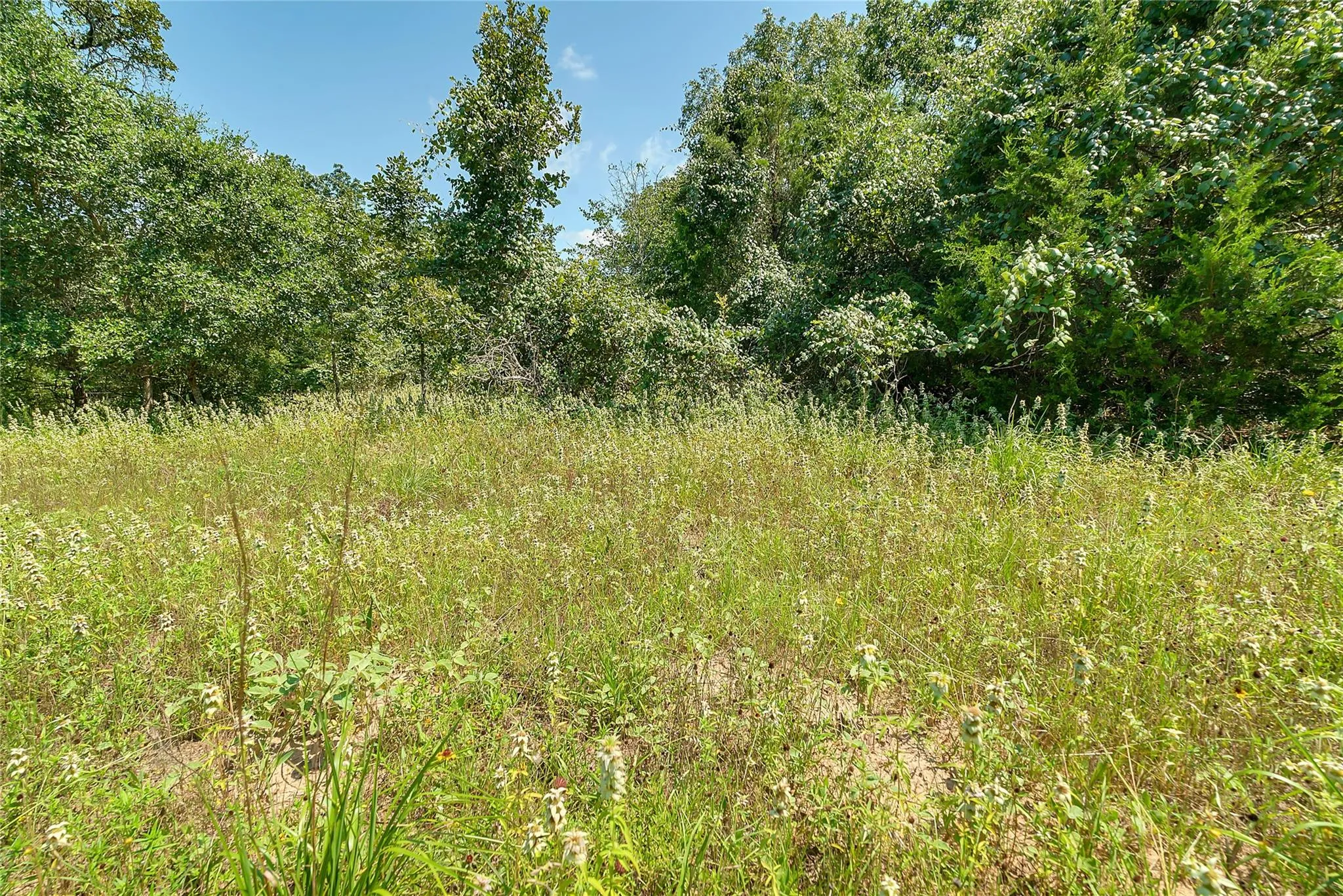 Parcel 19231 County Road 215