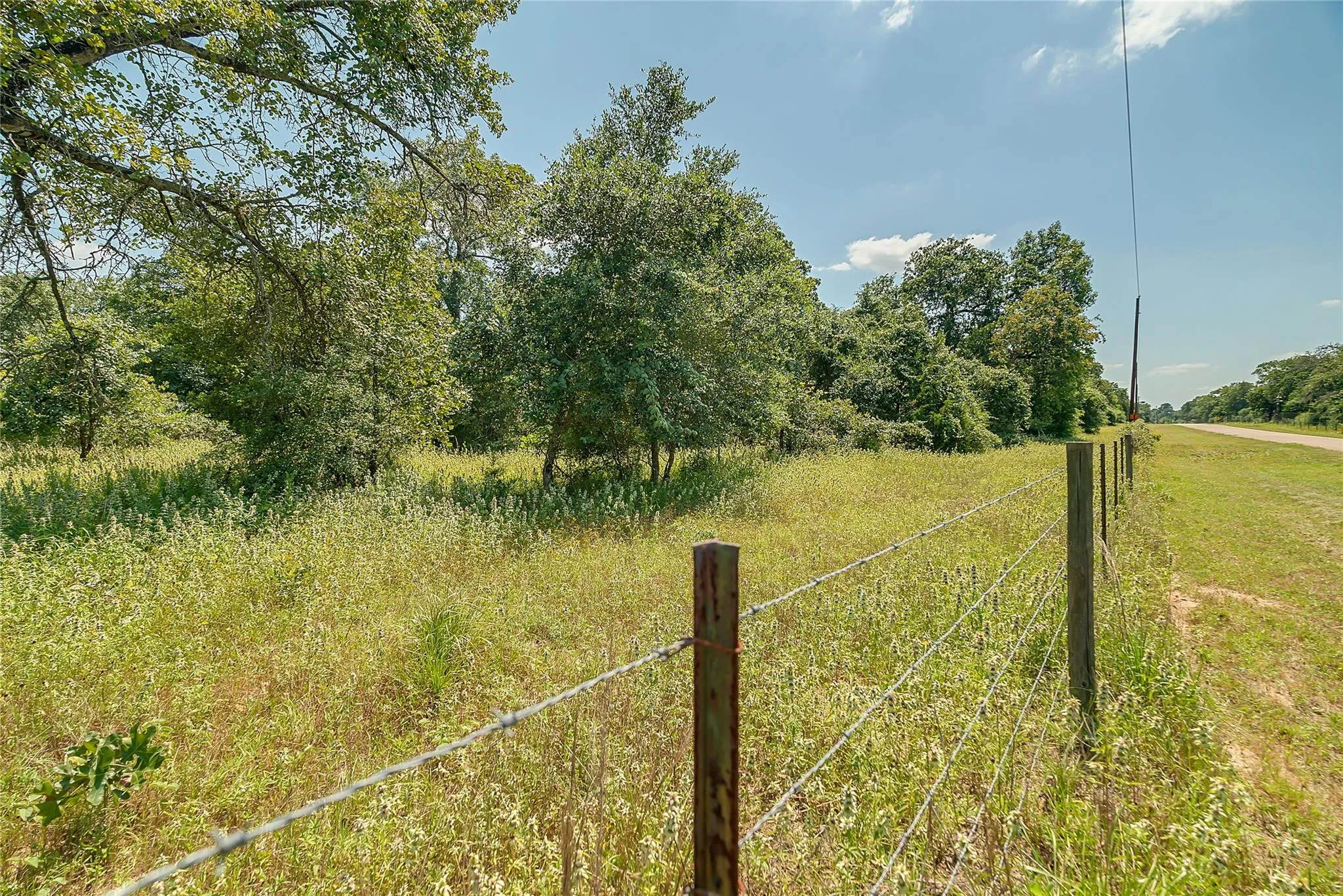 Parcel 19231 County Road 215